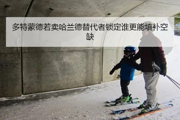 多特蒙德若卖哈兰德替代者锁定谁更能填补空缺